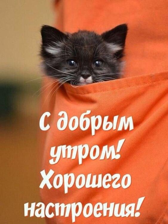 Доброе утро