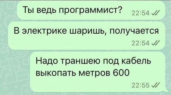 Программист, мем