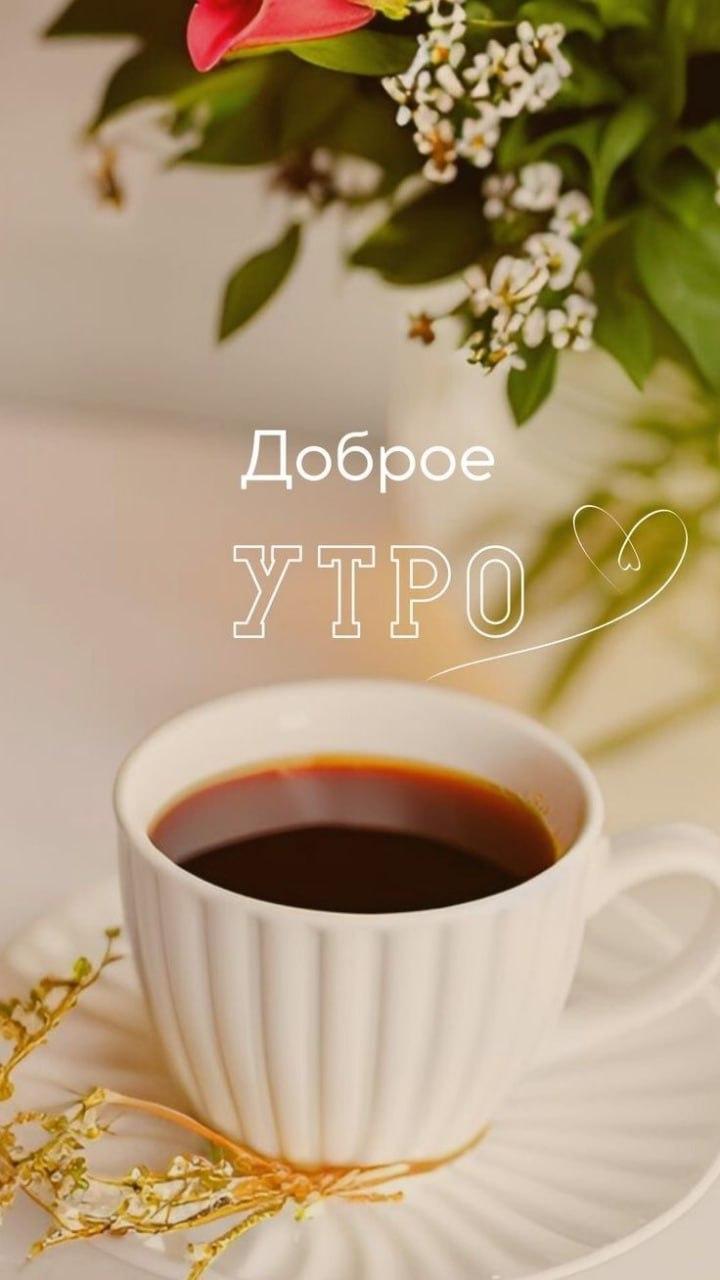 Доброе утро