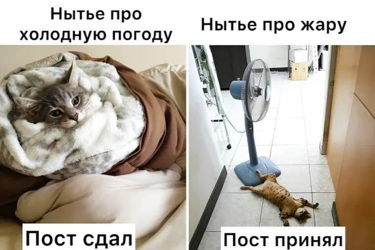 Погода, мем
