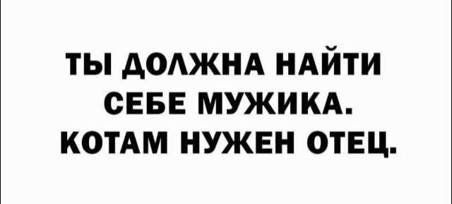 Котики, мем