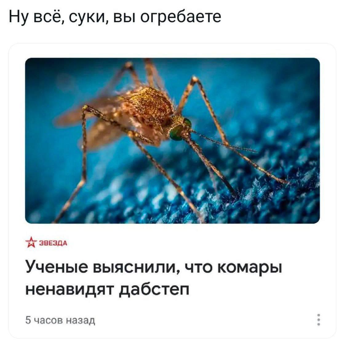 Комары и дабстеп