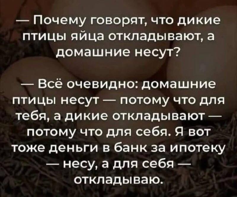 Птицы и яйца, мем