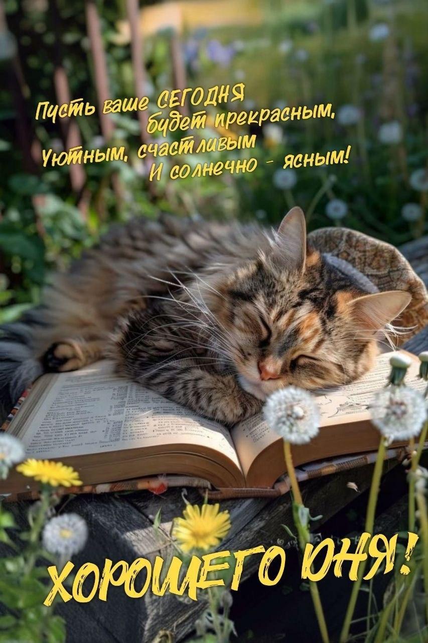 Доброе утро