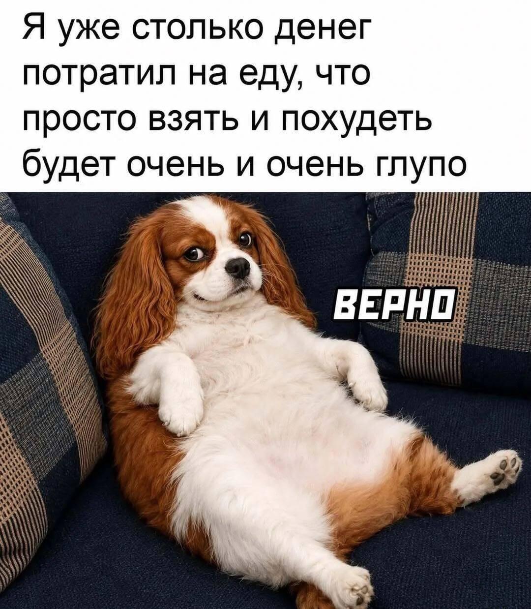 Лишний вес, мем