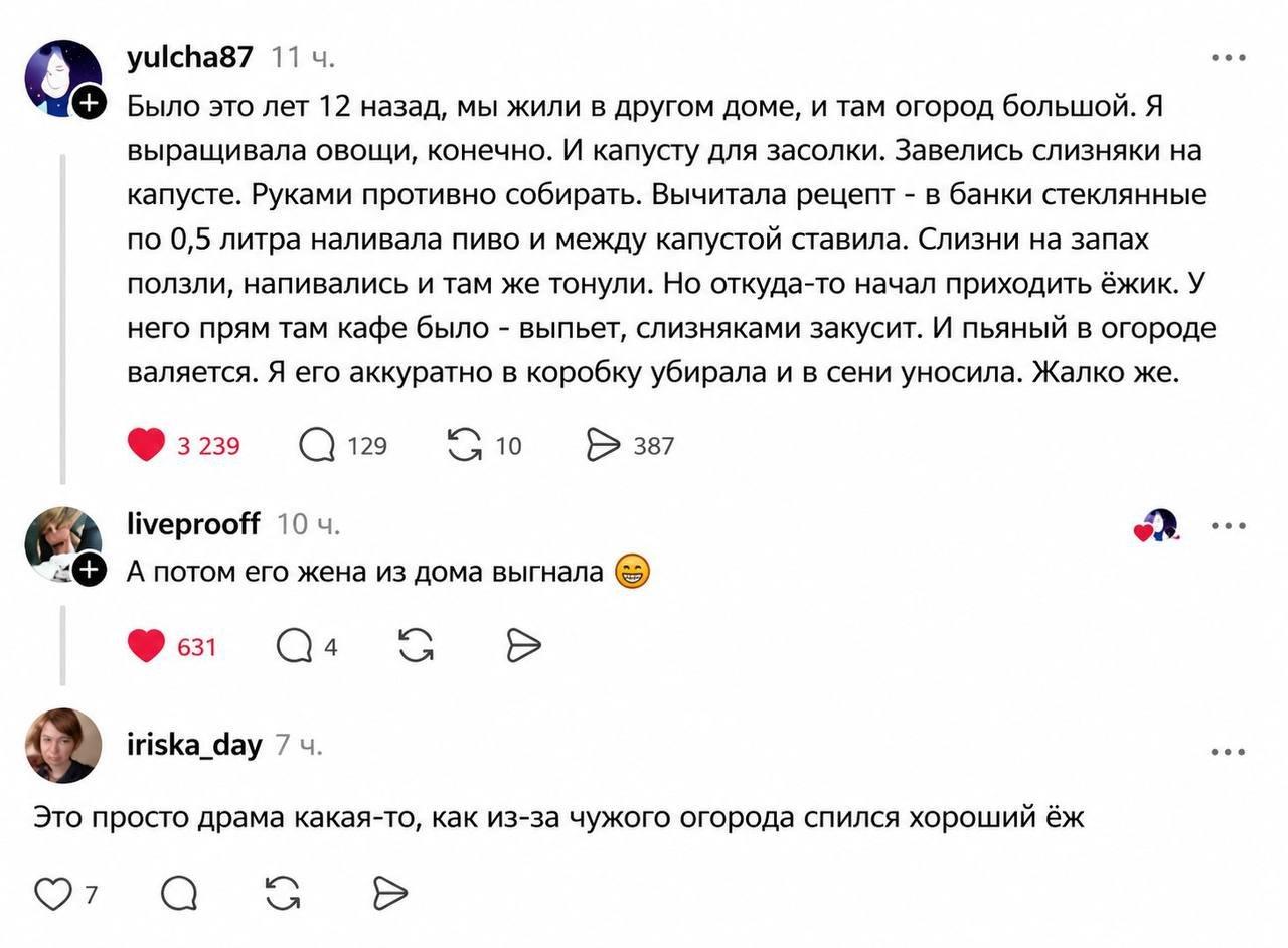 Огород, мем