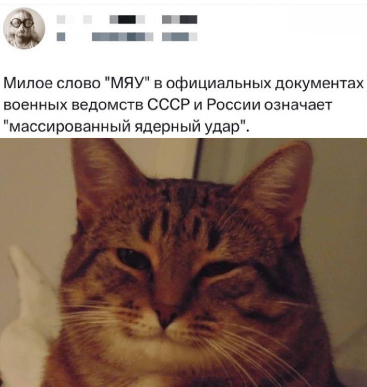 МЯУ - массированный ядерный удар