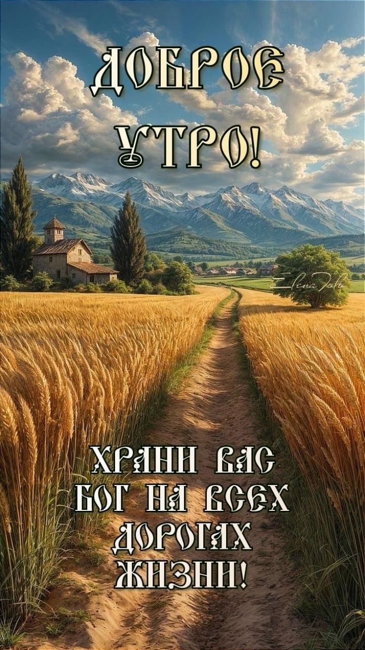 Доброе утро