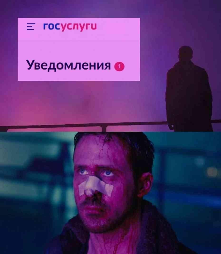 Госуслуги, мем