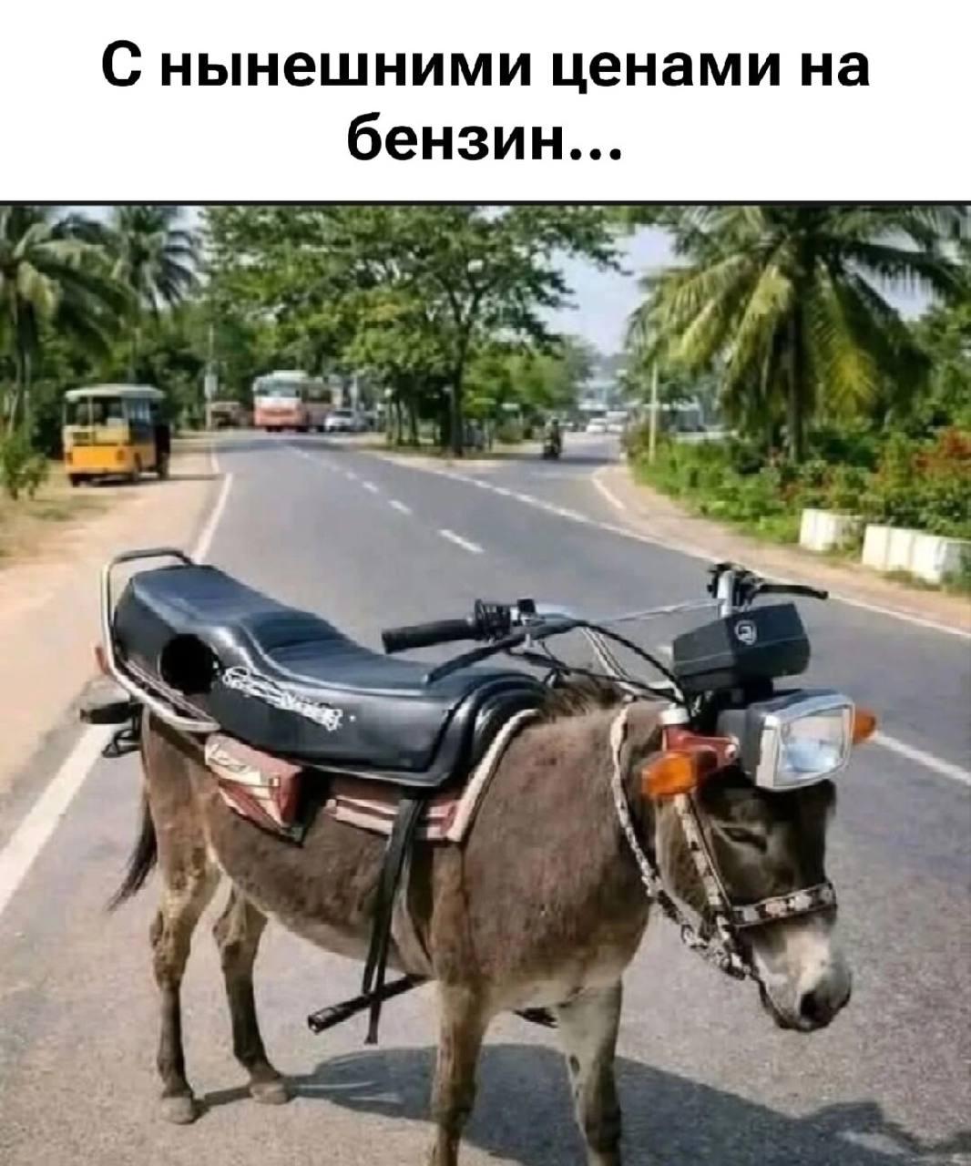 Цены на бензин, мем