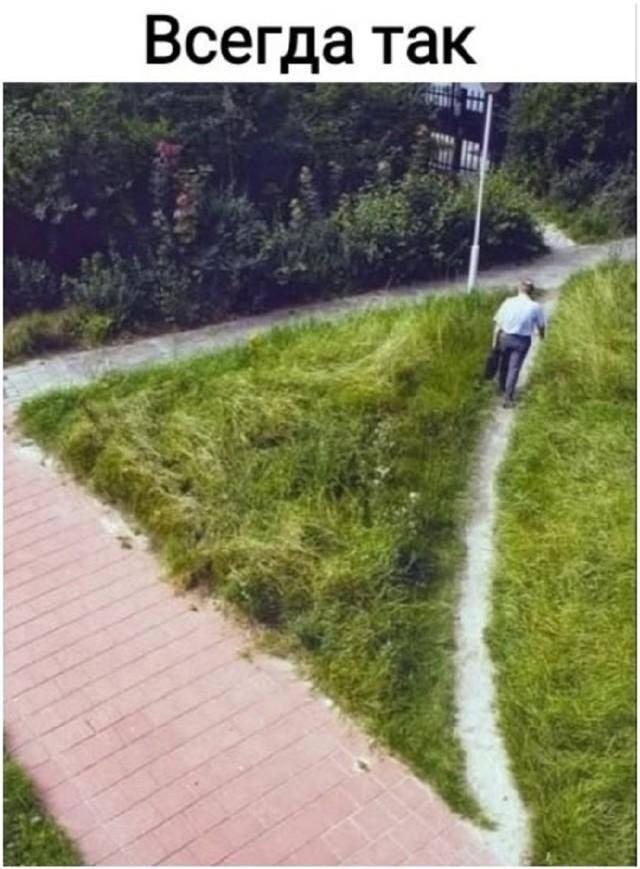 Дорожки, мем