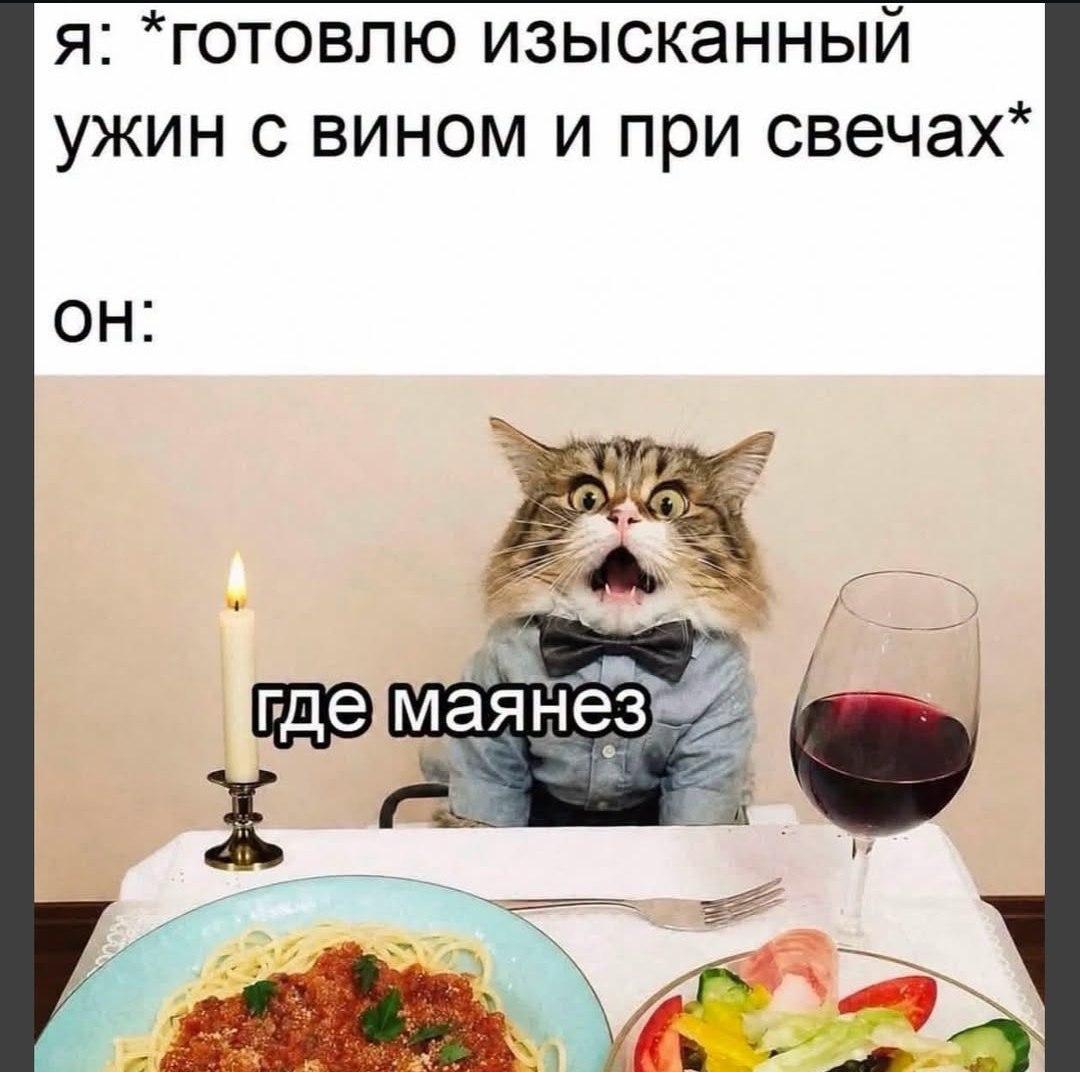 Котик и майонез, мем