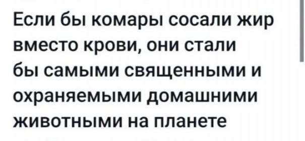 Комары, мем