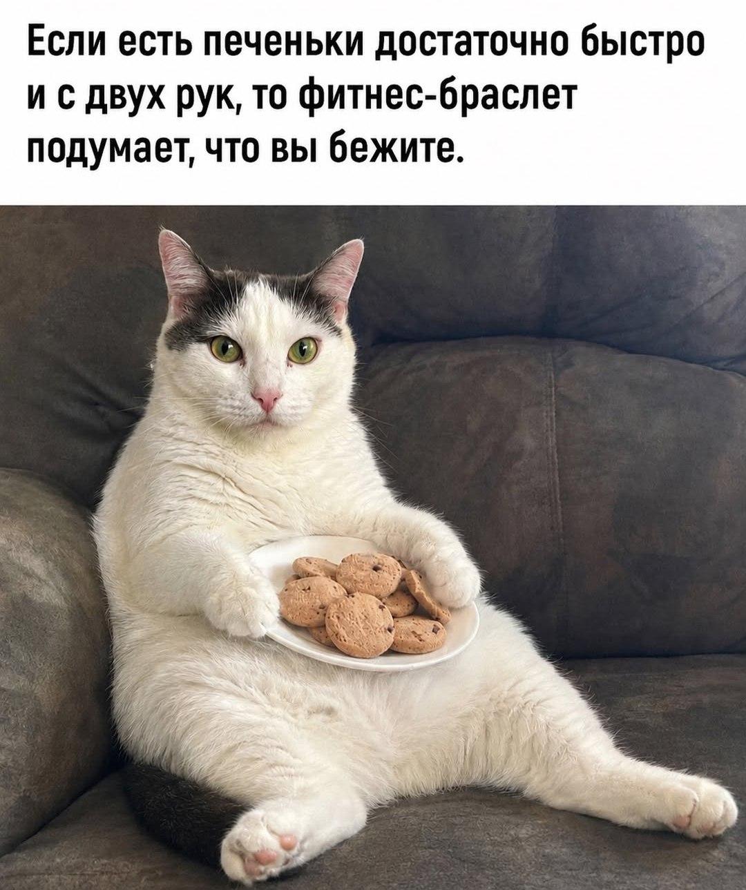 Фитнесс, мем