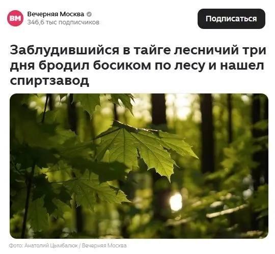Лесничий и спиртзавод