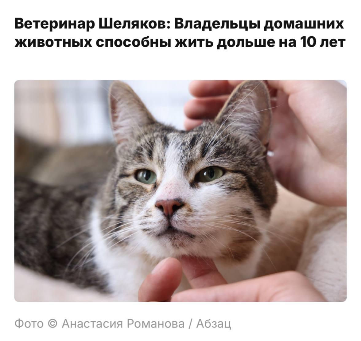Питомцы и долголетие