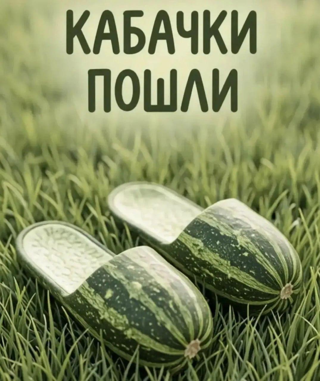 Кабачки, мем