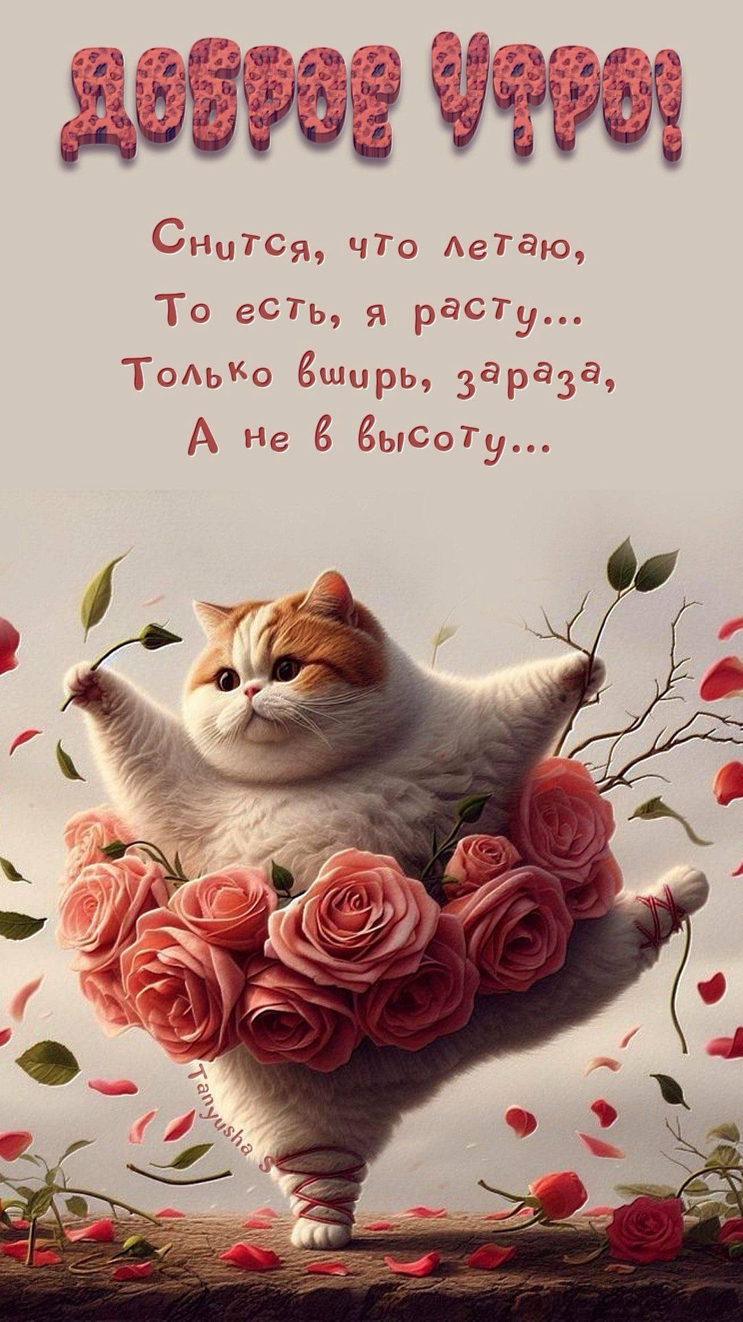 Доброе утро