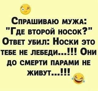 носки, мем
