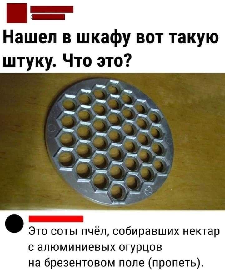 Пельменница и цой, мем