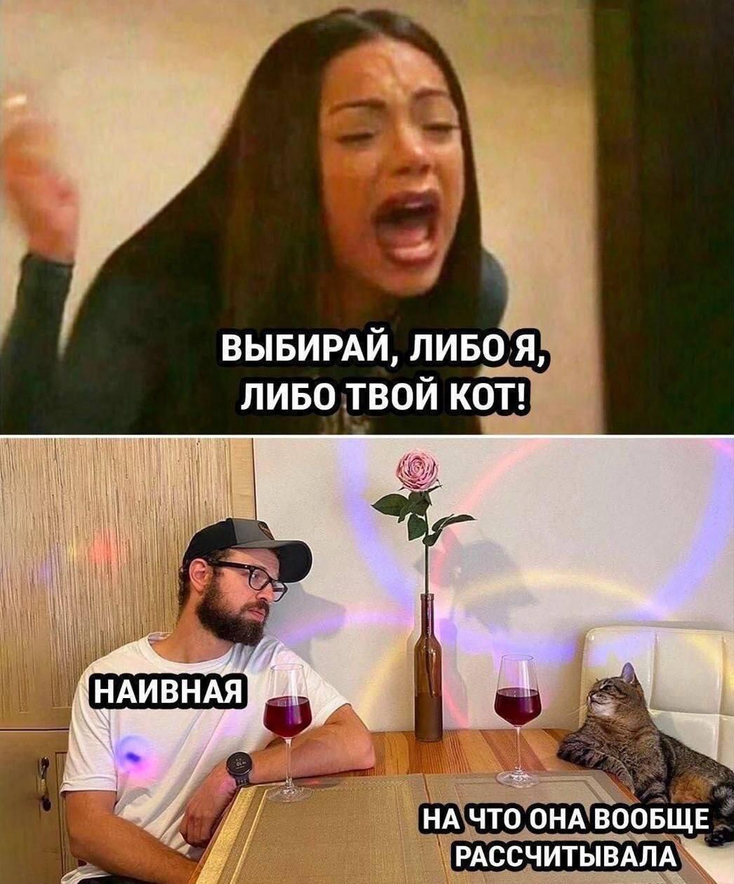 Кот простив девушки, мем