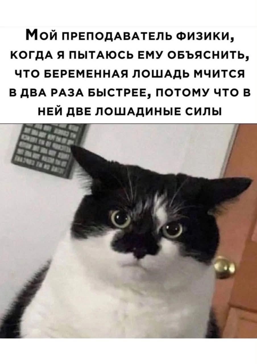 Учитель физики, мем