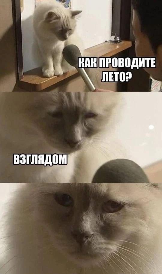 Лето, мем