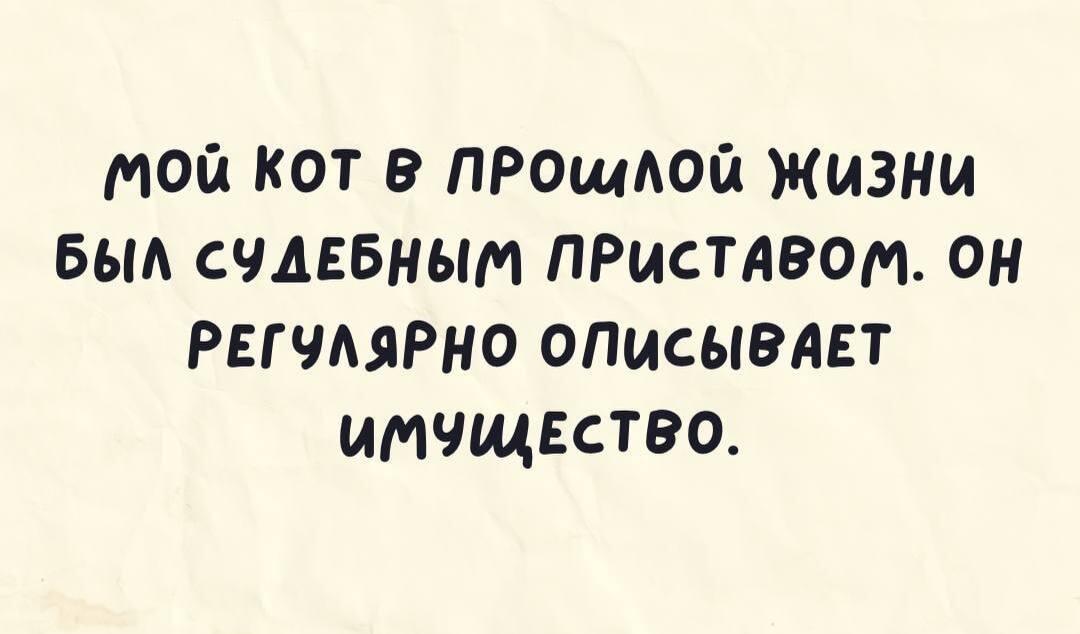 Котик, мем