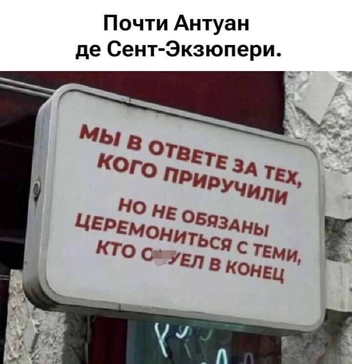 Мы в ответе за тех, кого приручили