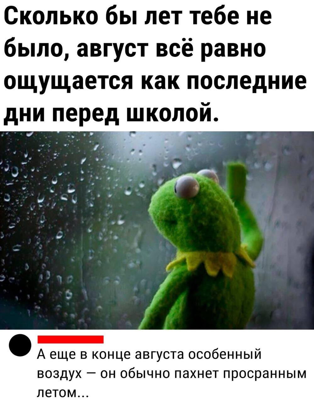 Август, мем