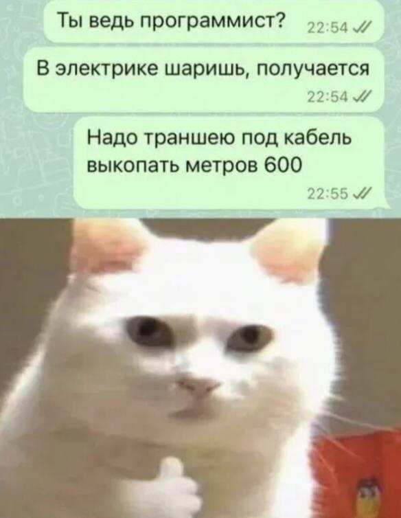 Программист, мем
