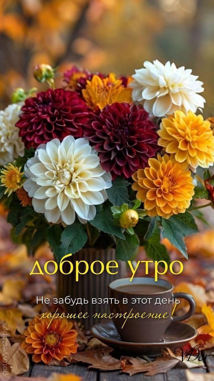 Доброе утро
