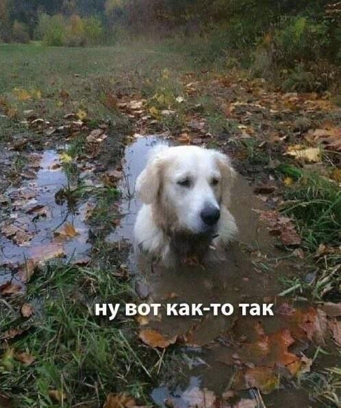 Настроение - осень
