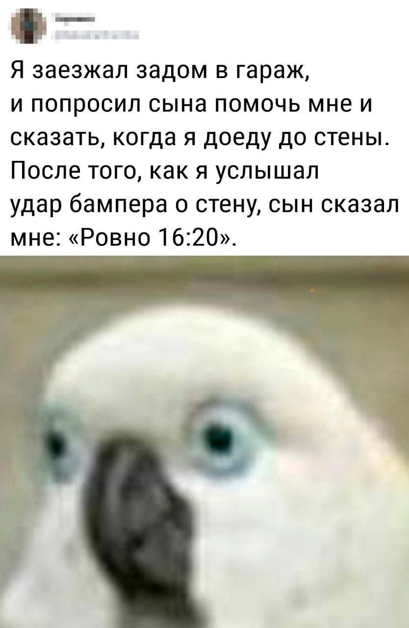 Дети, мем