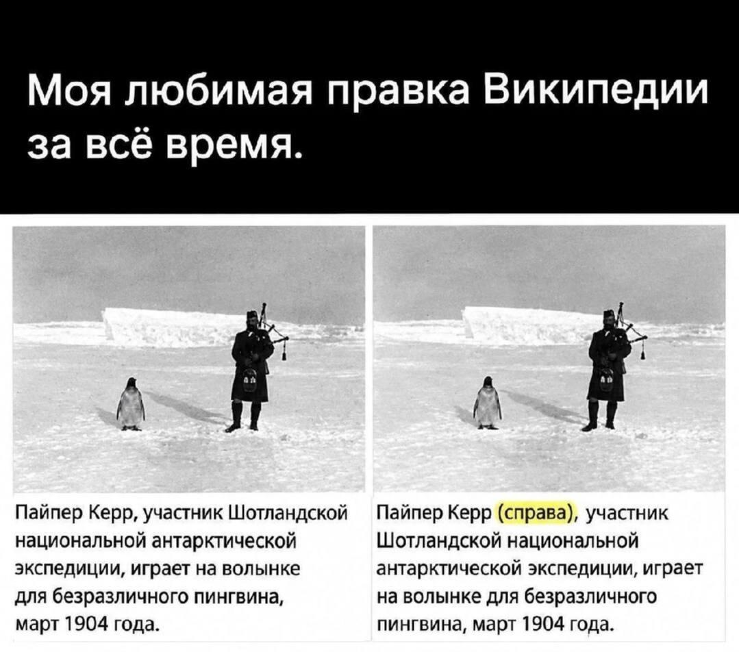 Правки википедии, мем