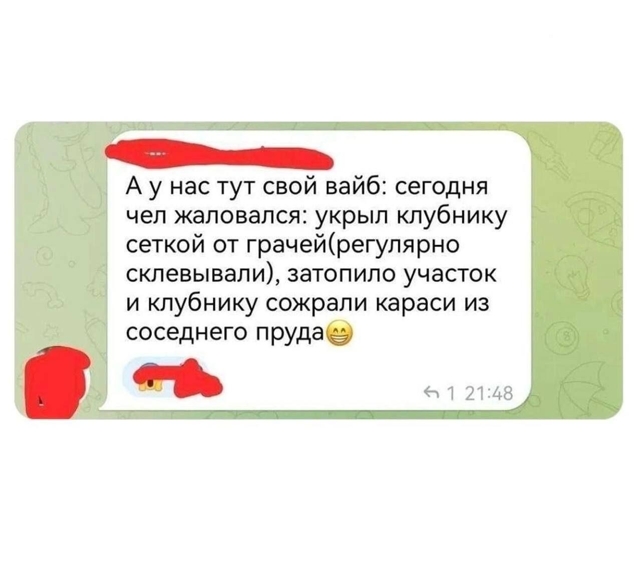 Огород, мем