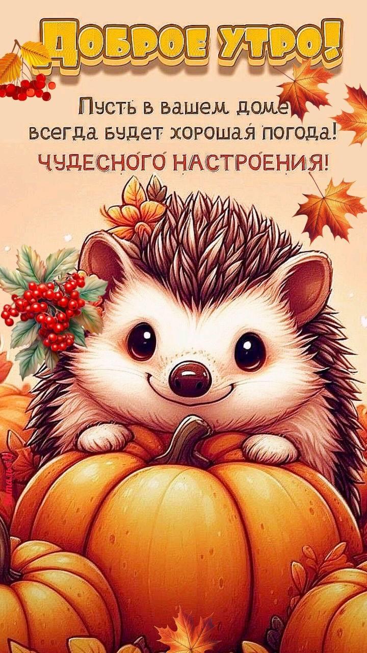 Доброе утро