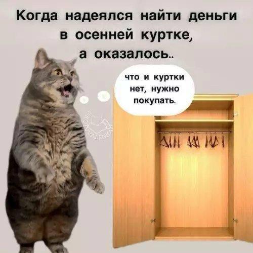 Осень, мем