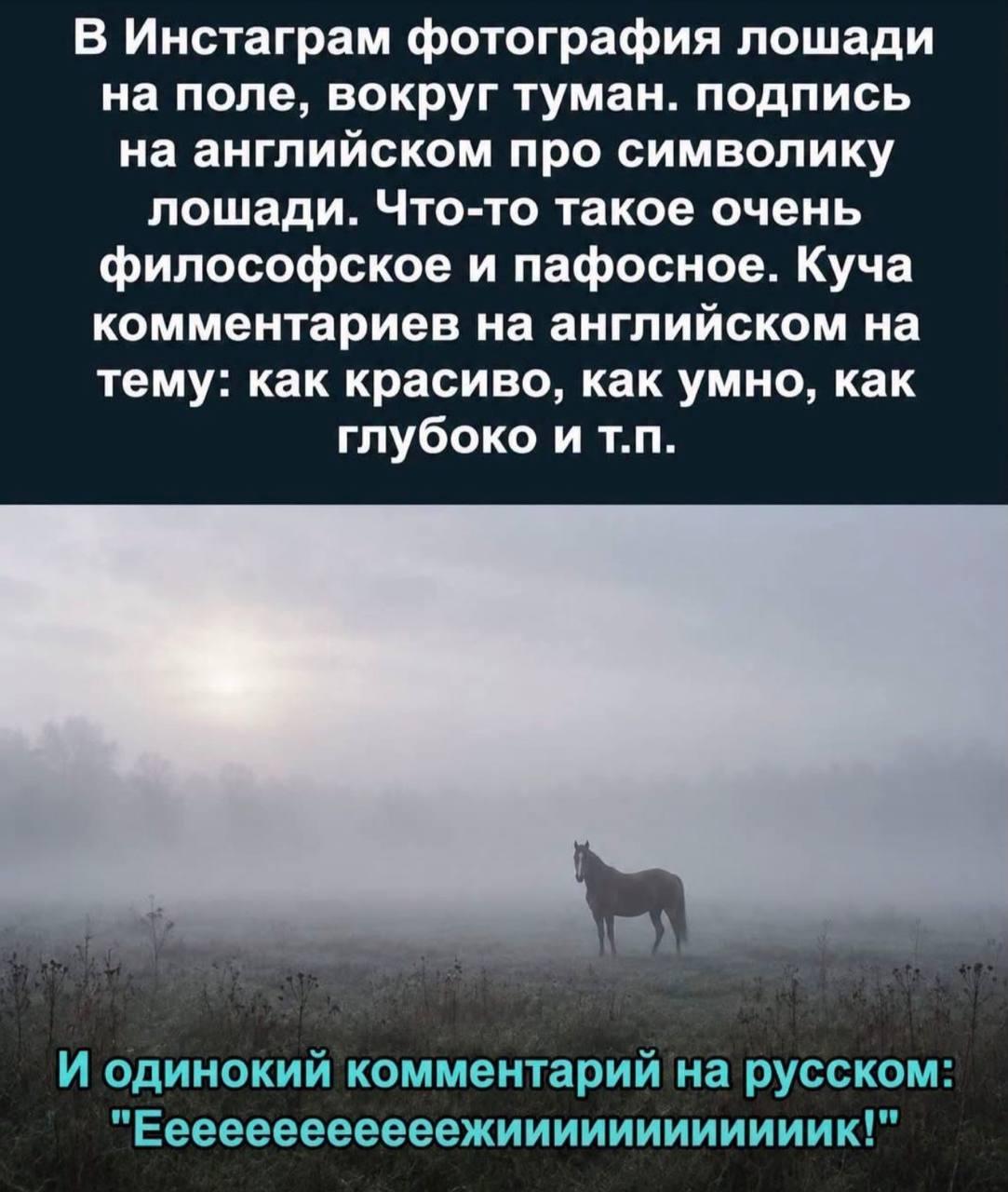 Ежик и лошадка, мем