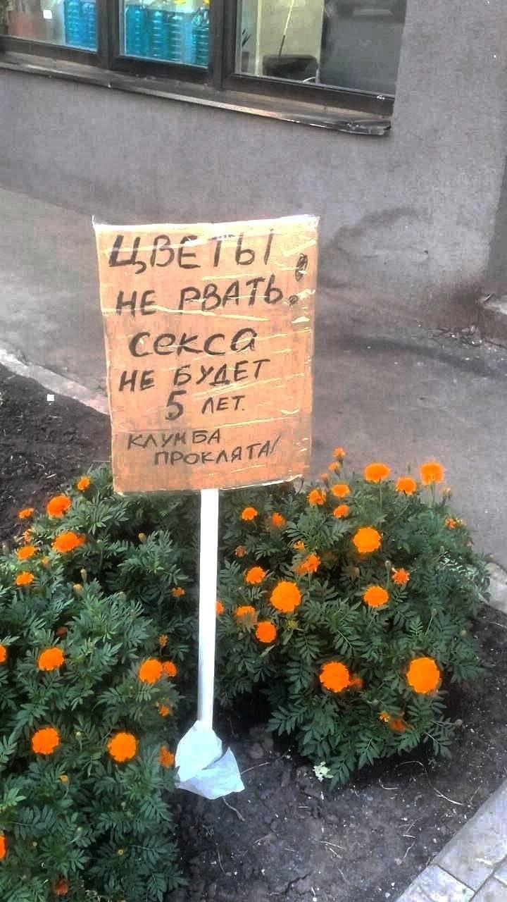 Проклятие клумбы