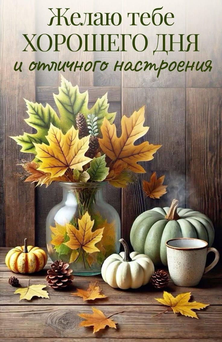 Доброе утро