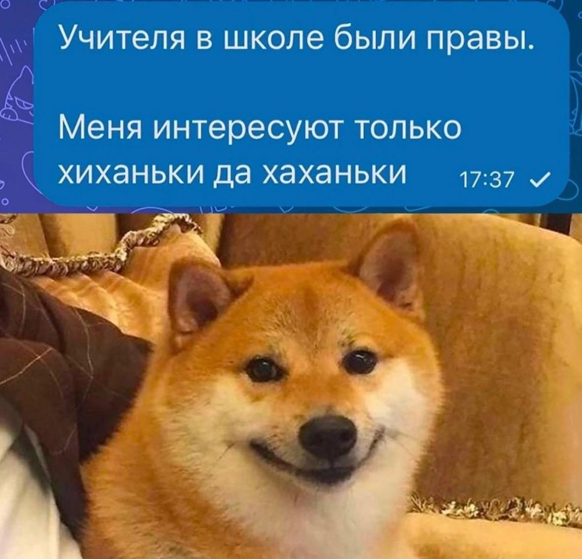 Школа, мем