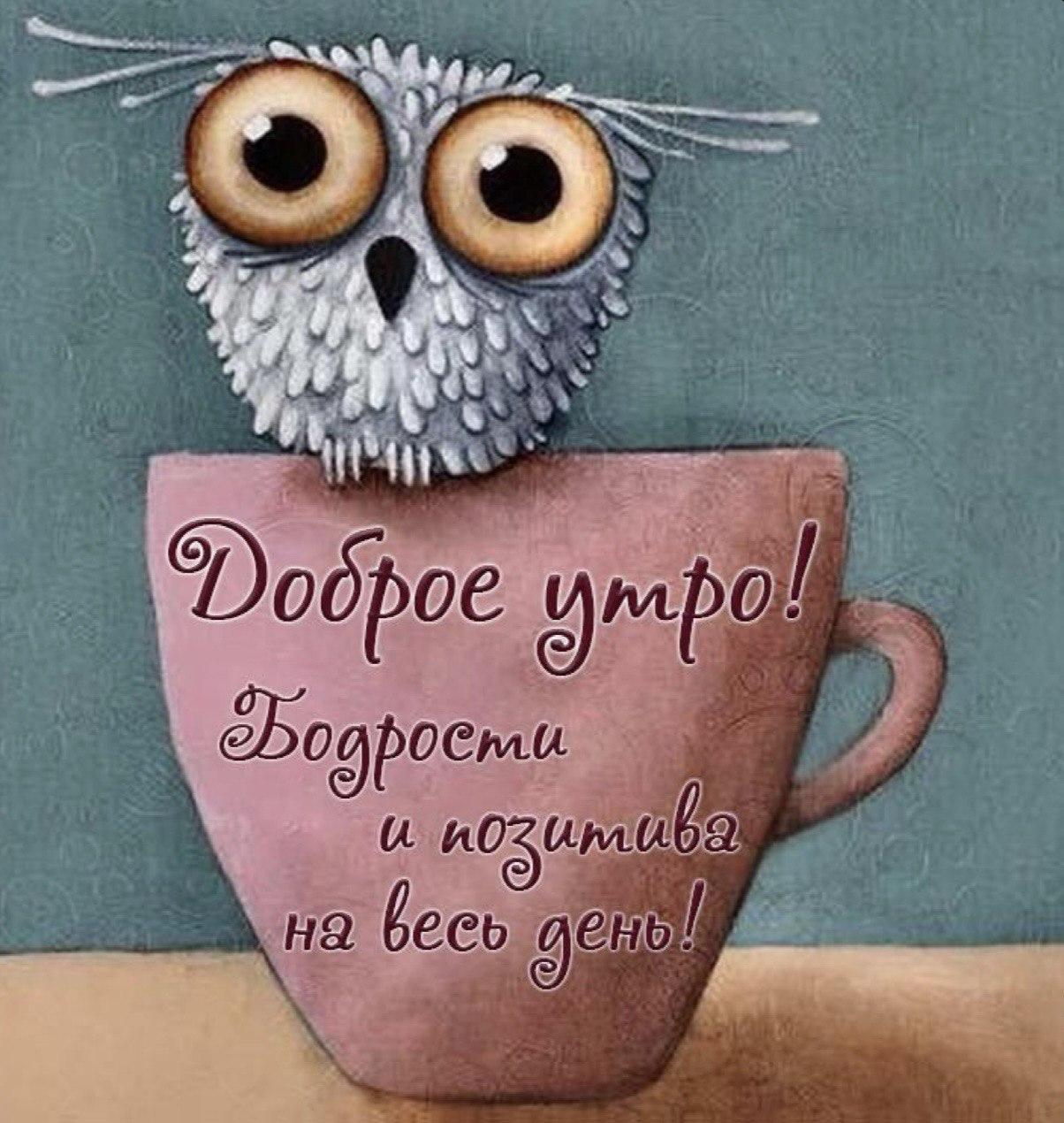 Доброе утро