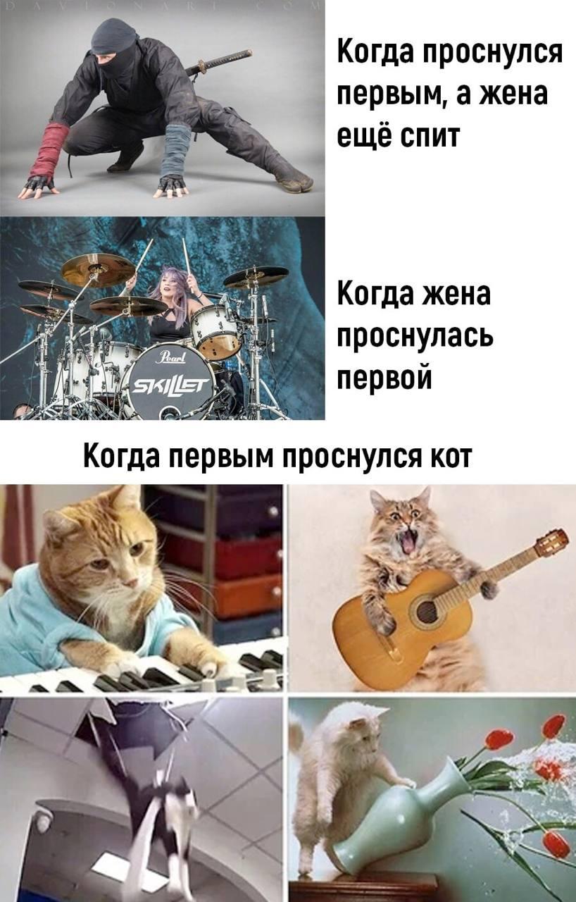 Проснулся раньше жены, мем
