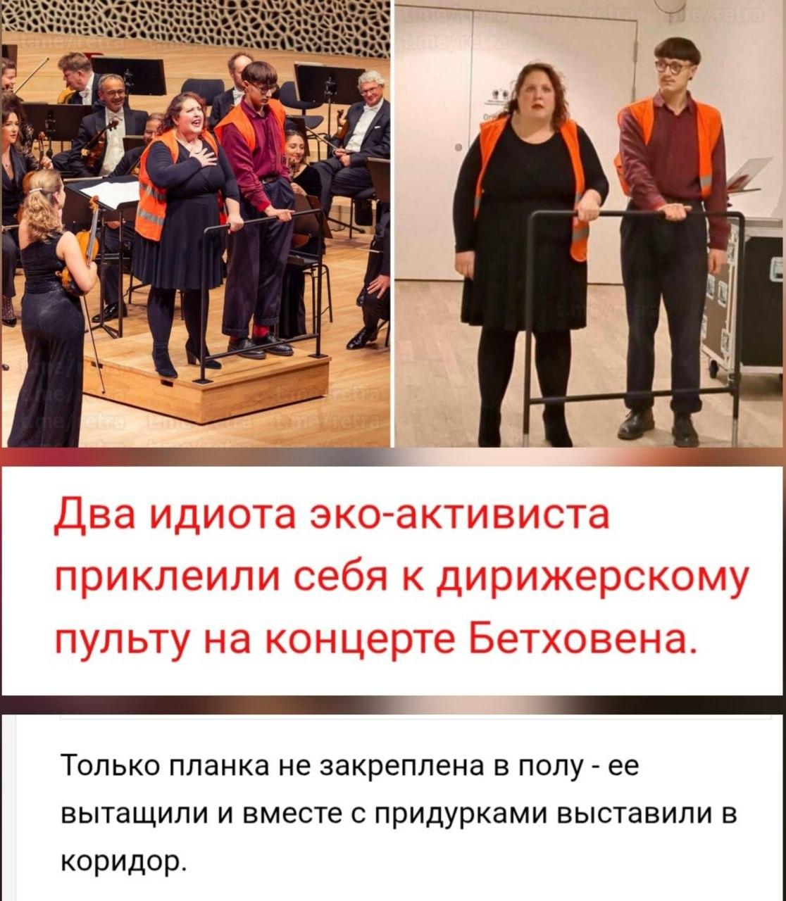 Экоактивисты, прикол