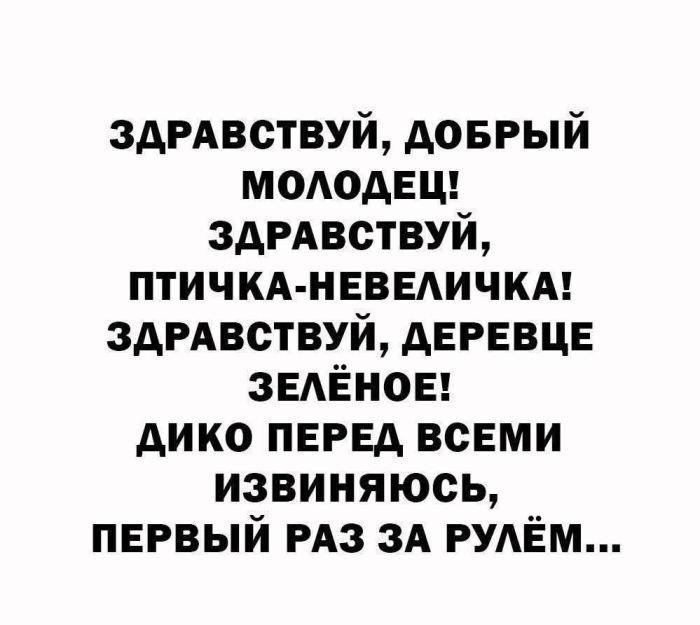 Водитель-чайник, мем
