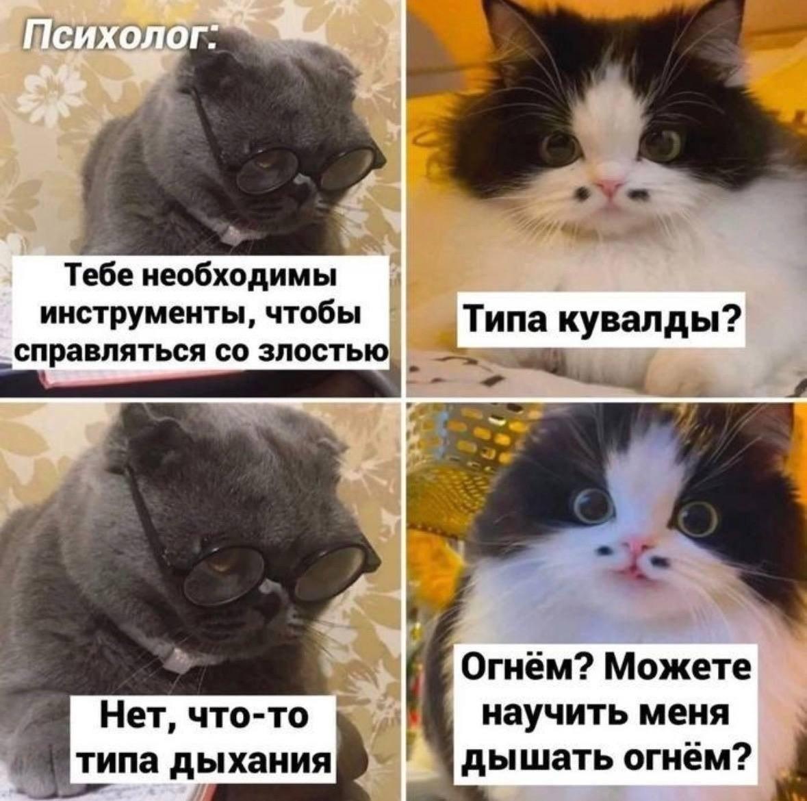 Психолог, мем