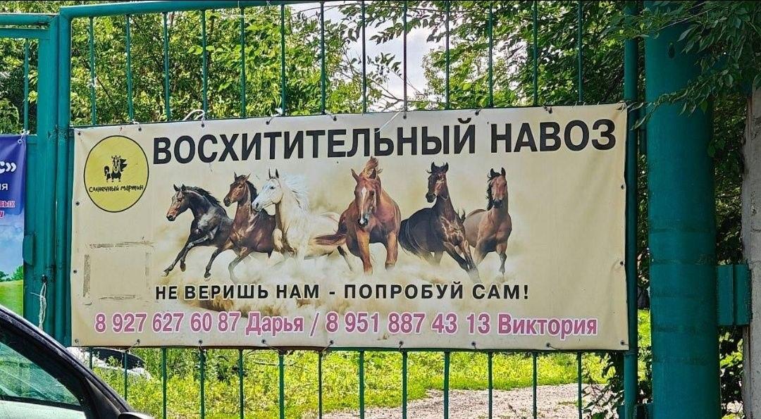 Региональный маркетинг