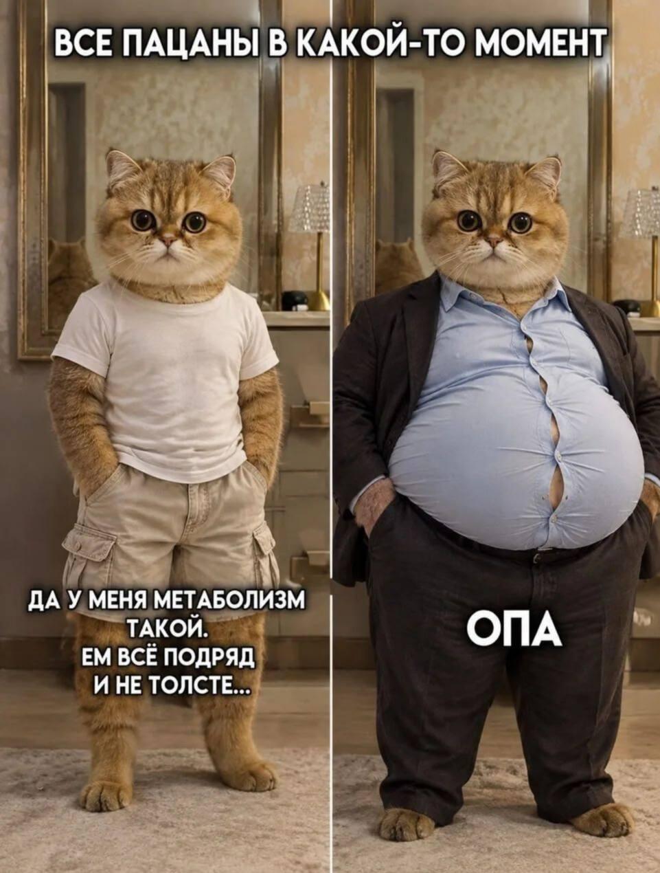 Как становятся скуфами