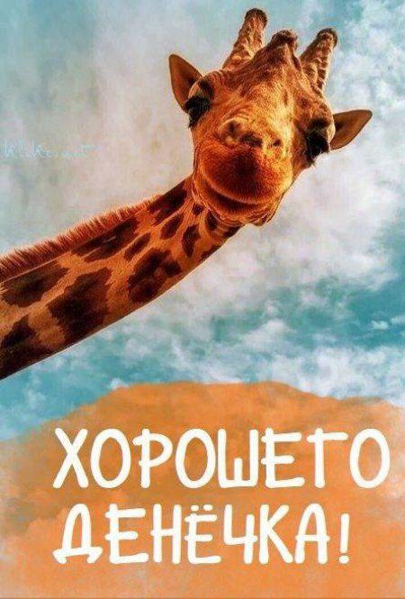 Доброе утро